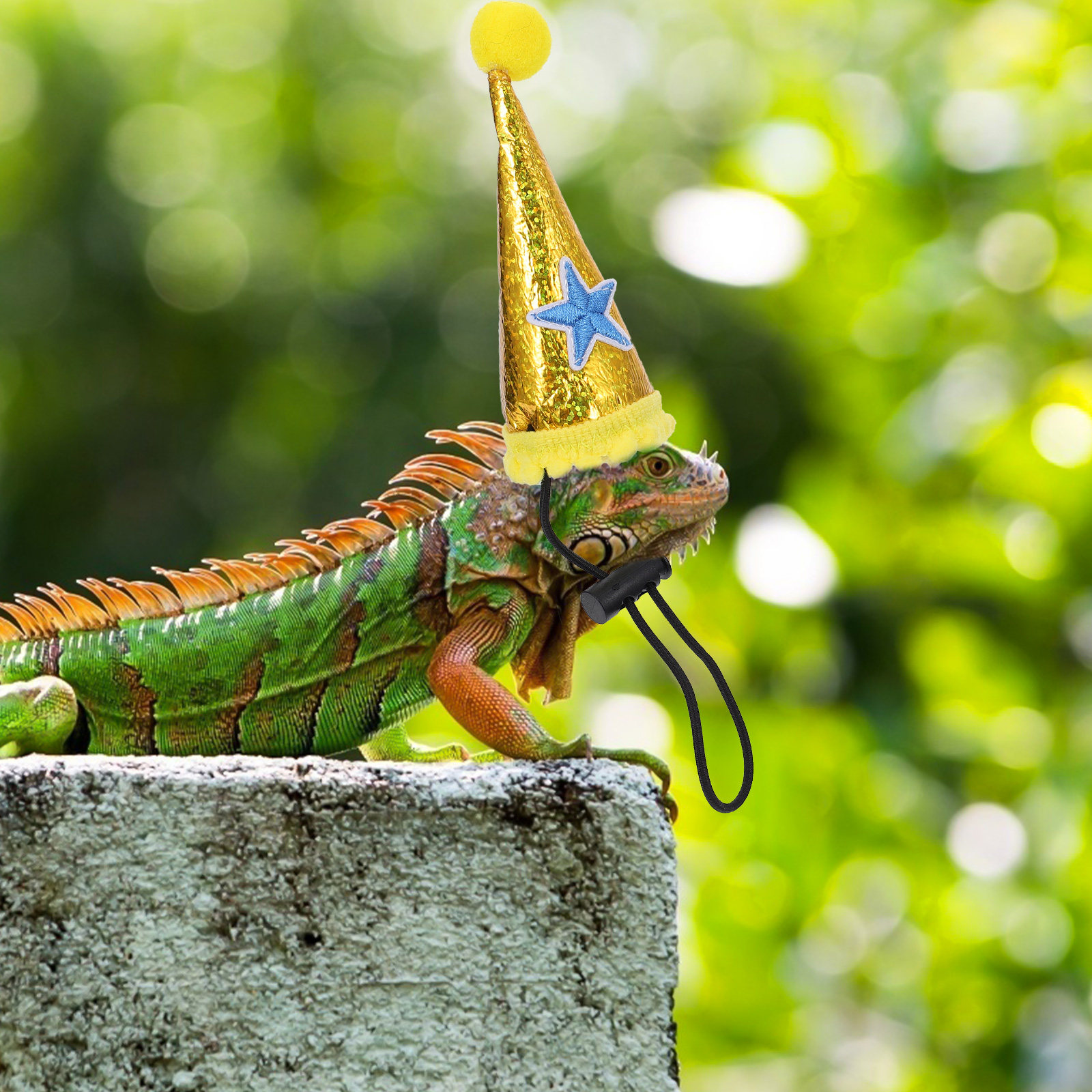 1Pcs Halloween Pet Lizard Hat  - Party Hat Cone review and price